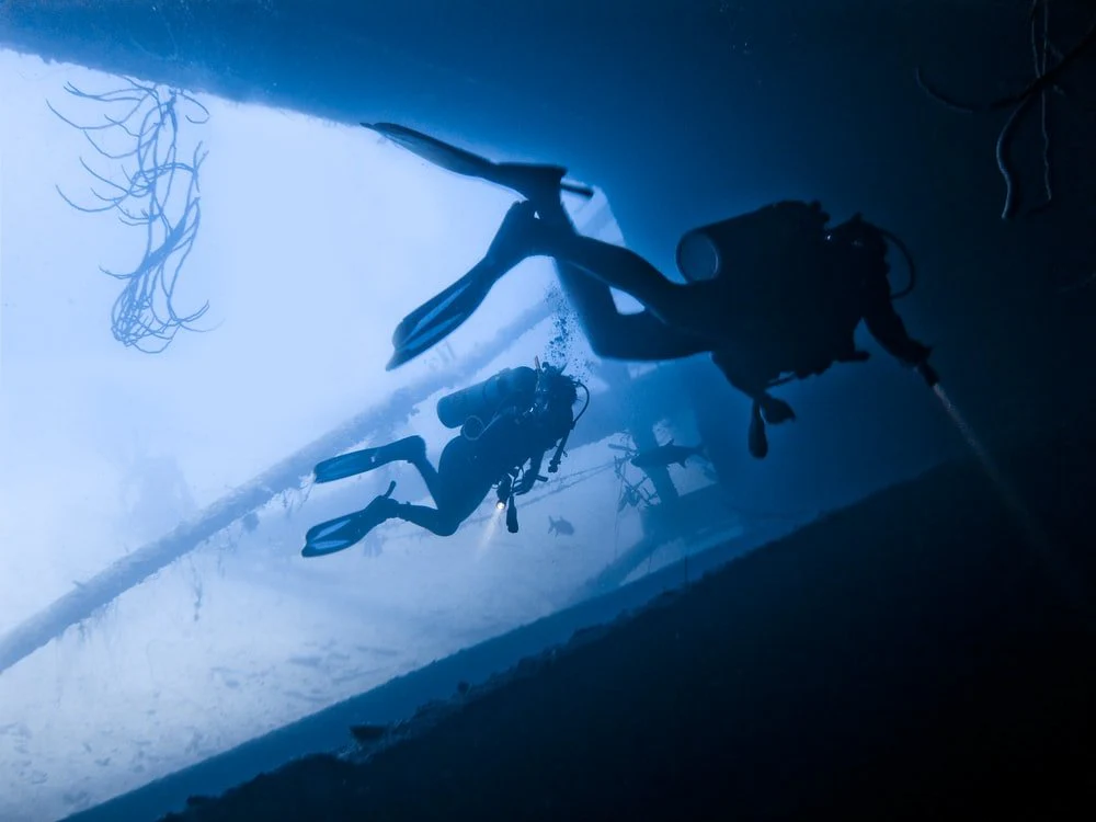 Paint By Numbers | Barracuda - Two Person Scuba Diving In Water