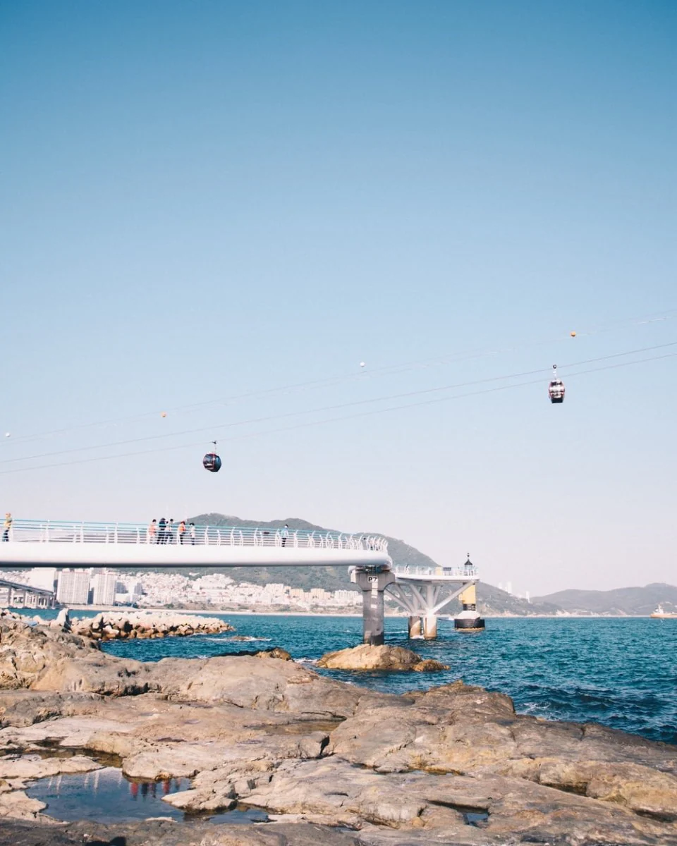 Paint By Numbers | Busan - White Bridge Over The Sea During Daytime