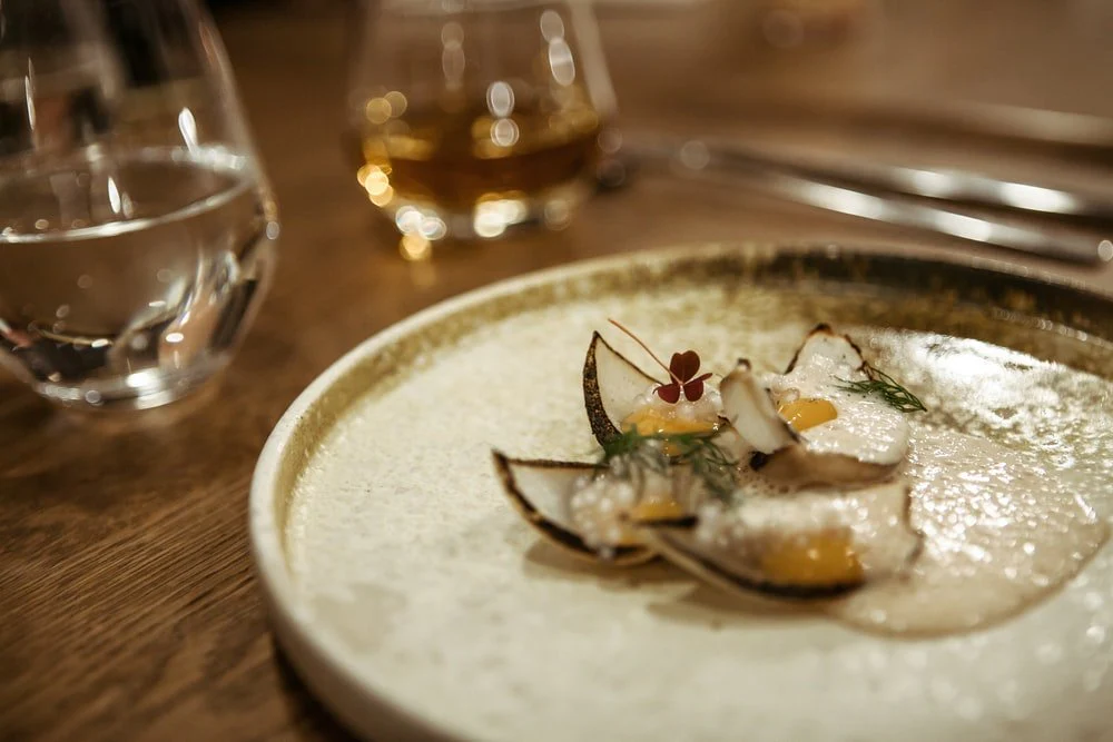 Paint By Numbers | Oyster - White Ceramic Plate With Green Vegetable Dish
