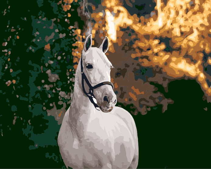 Paint By Numbers | Horse - White Horse Standing Near Plant