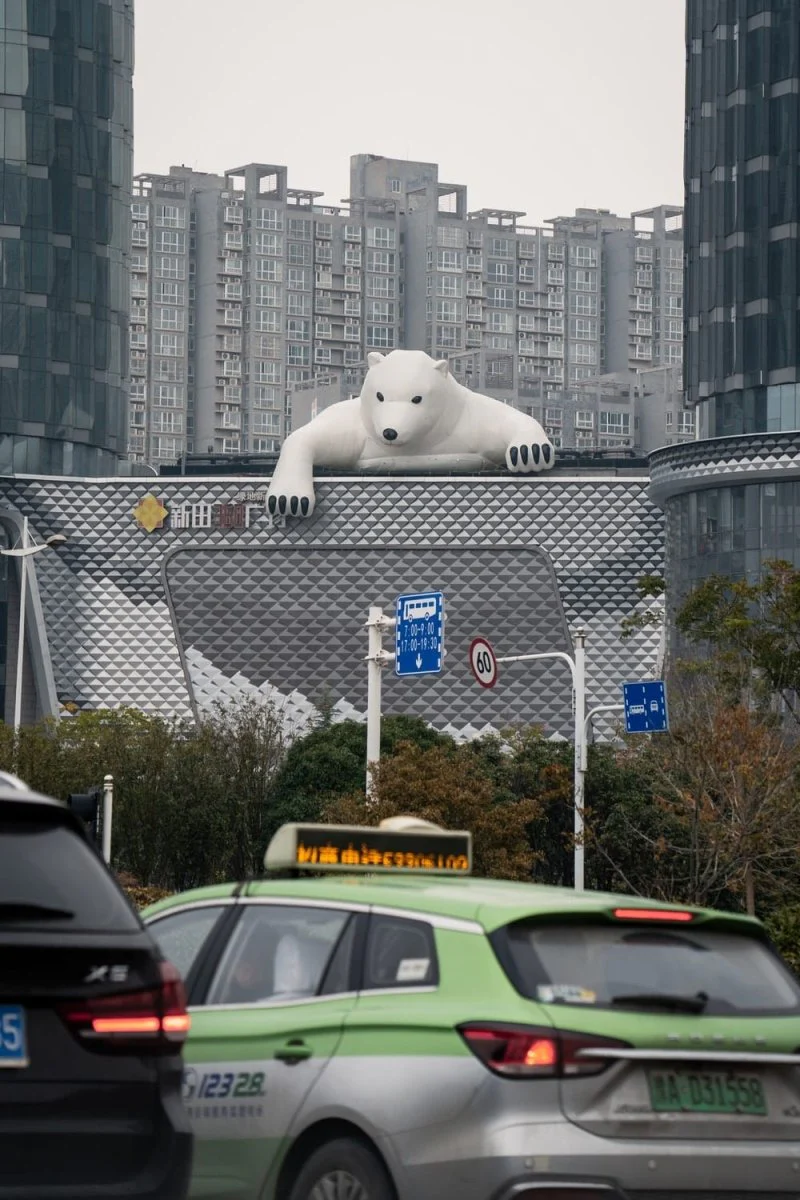 Paint By Numbers | Zhengzhou - White Polar Bear On Gray Metal Fence
