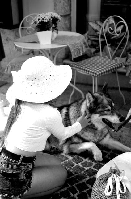 Woman Siberian Husky Petting A Dog Paint By Number Kit