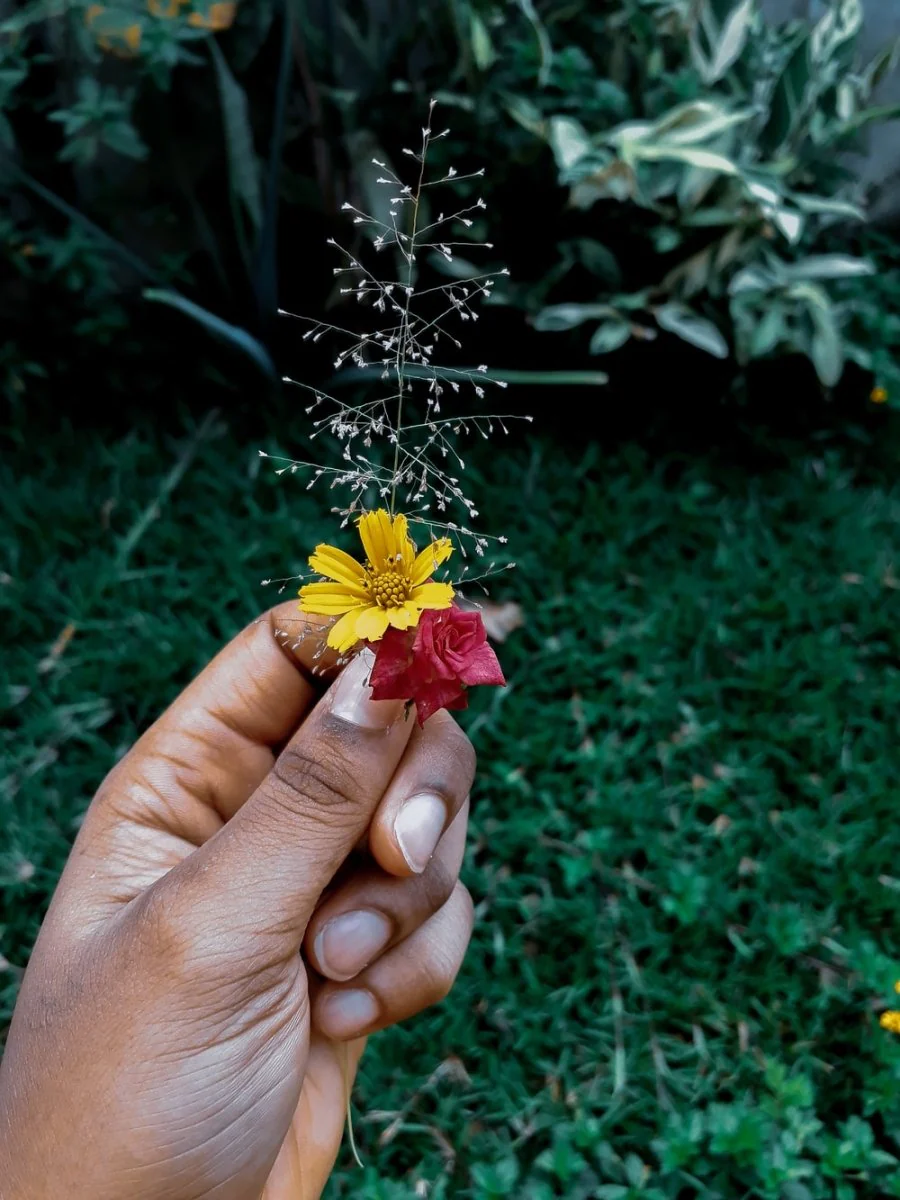Paint By Numbers | Kinshasa - Yellow And Red Flower In Bloom During Daytime